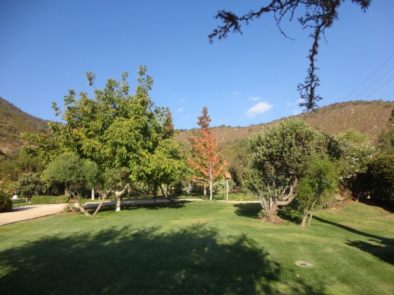 Vista jardines y paisaje