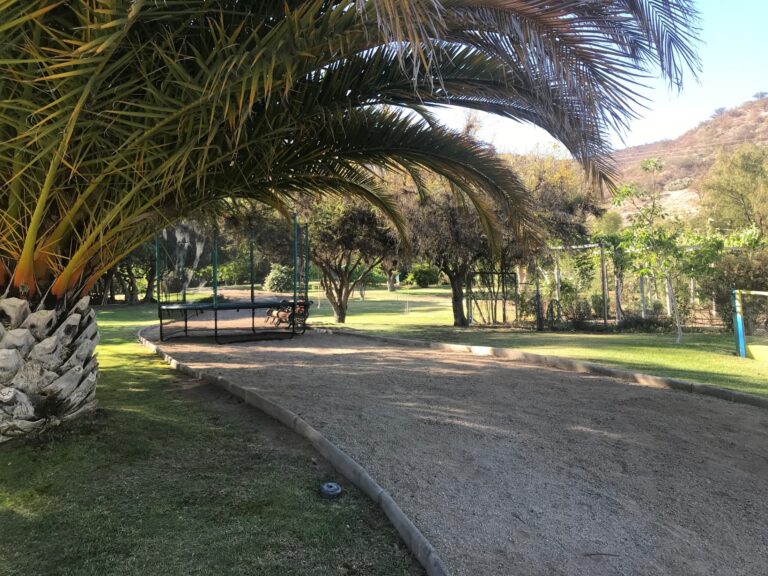 Jardines y camino interno